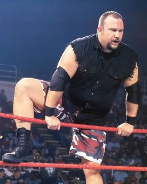 WWE Super Star Photo Wallpapers Biography Videos Bubba Ray Dudley